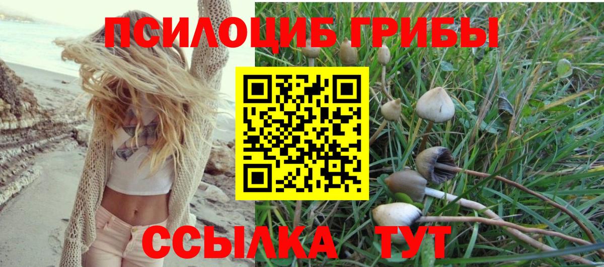 Галлюциногенные грибы Cubensis  Вход с VPN  Тула  Галлюциногенные грибы Psilocybe 