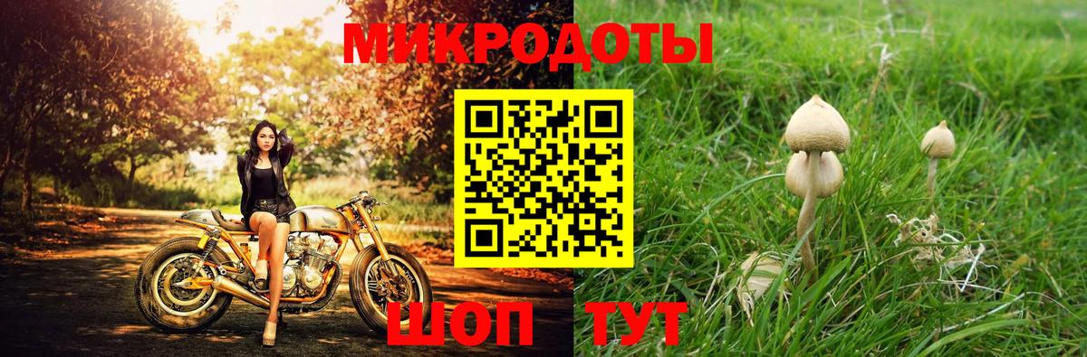Галлюциногенные грибы мицелий Тула